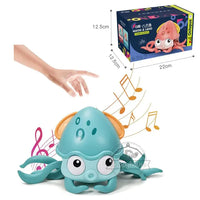 Octopus-Blue With Box